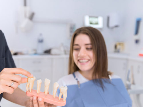 Czy dobrze znasz rodzaje zębów i funkcje, jakie pełnią?